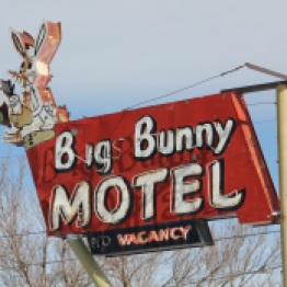 Big Bunny Motel, Barbara Gal