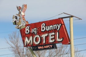 Big Bunny Motel, Barbara Gal
