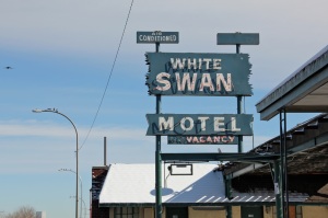 White Swan Motel, Barbara Gal