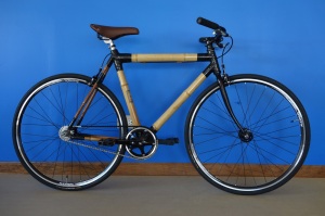 Bamboo Bike